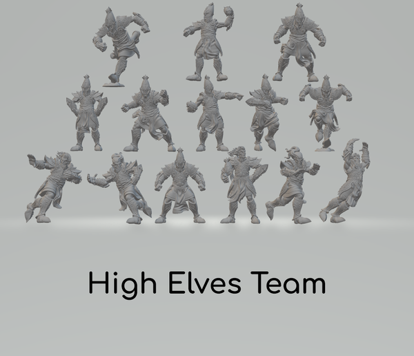 The Silver Shards High Elves Team