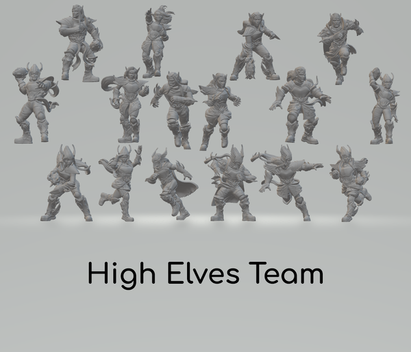 High Elves Team